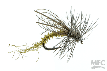 MFC CDC Winged Emerger - BWO