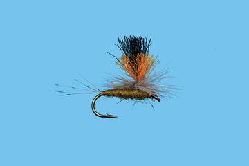 Solitude Flies - Double Vision BWO