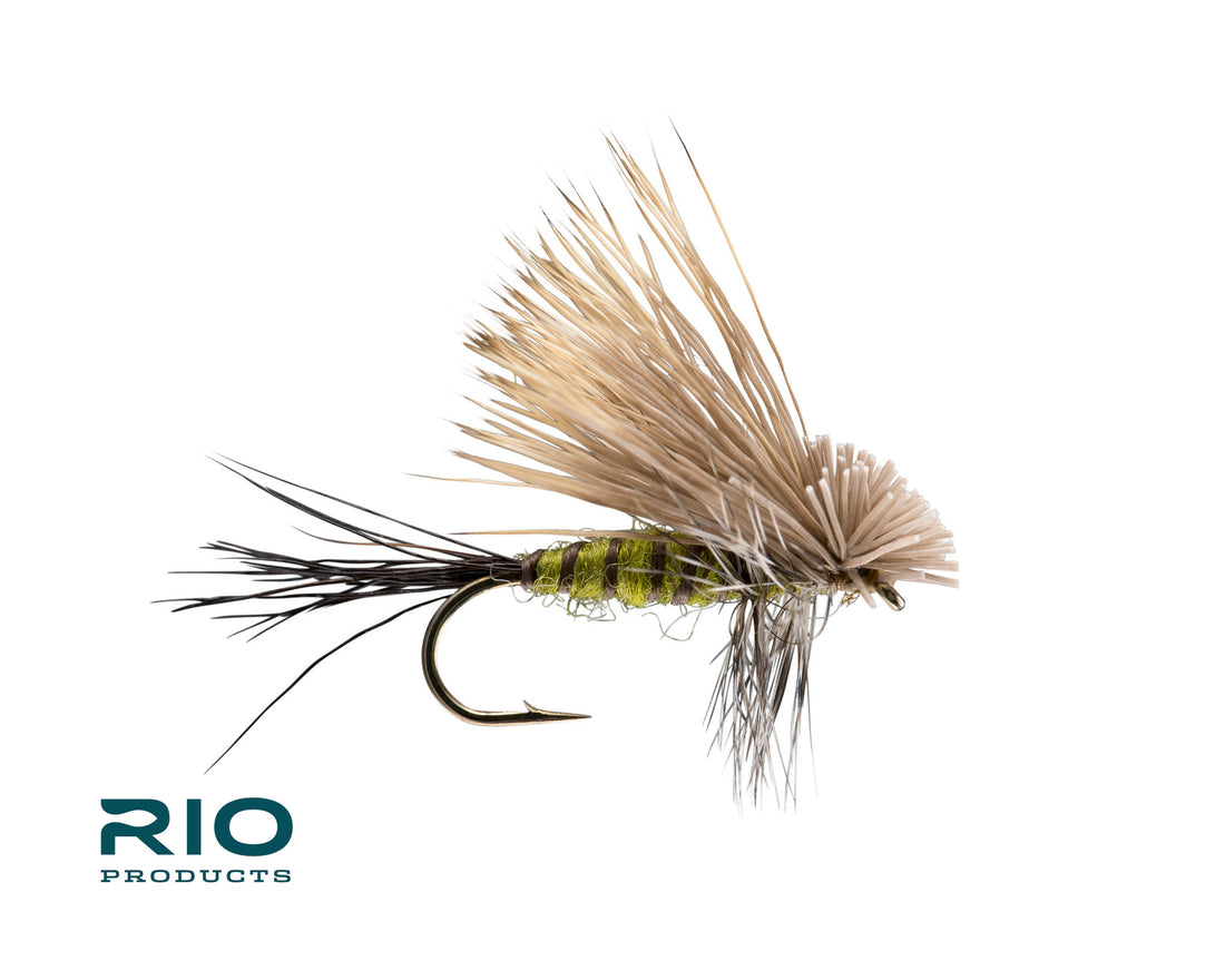 Rio Flies - Hairwing Drake Green