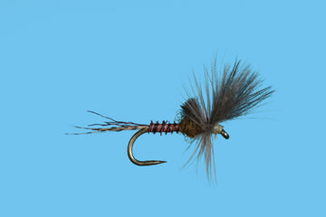 Solitude Flies - Last Chance Cripple BWO