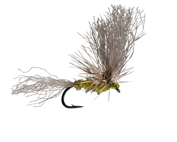 Rio Flies - Morrish May Day BWO