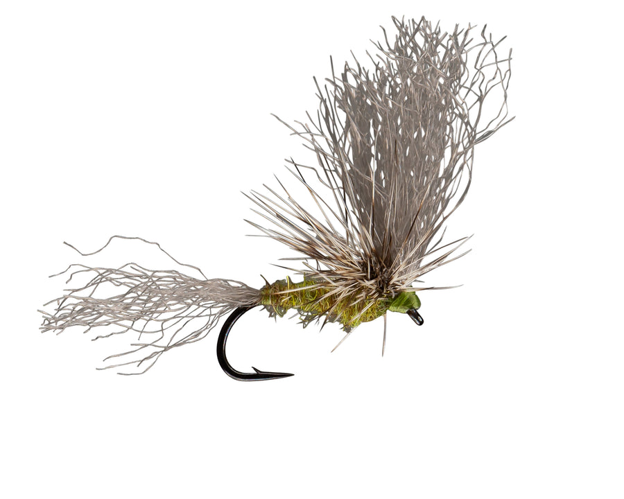 Rio Flies - Morrish May Day BWO