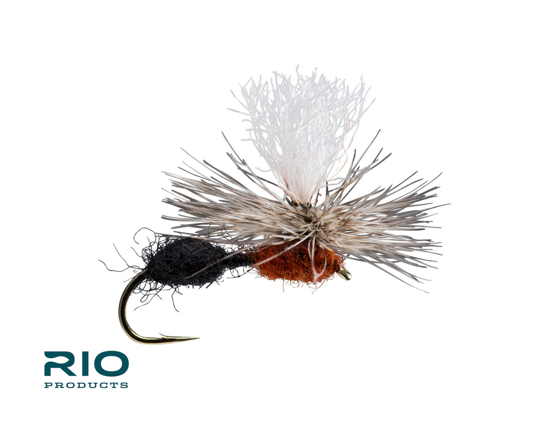 Rio Flies - Para Ant Black and Red