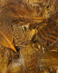 Premium Partridge Feathers
